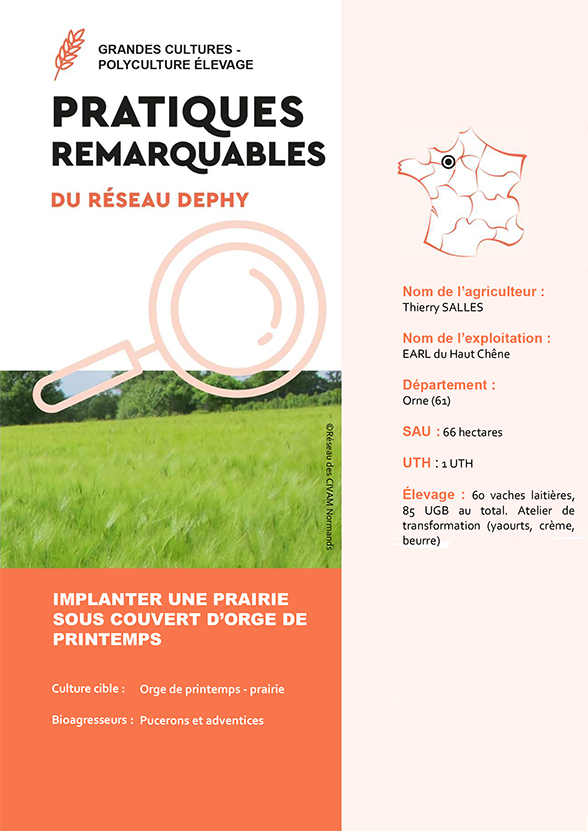 Implanter Une Prairie Sous Couvert Dorge De Printemps Thierry Salles 1