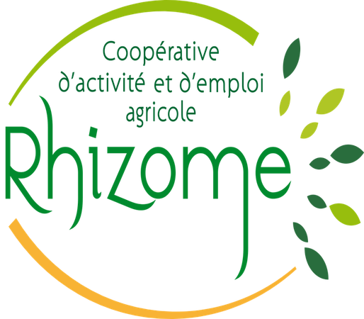 rhizome