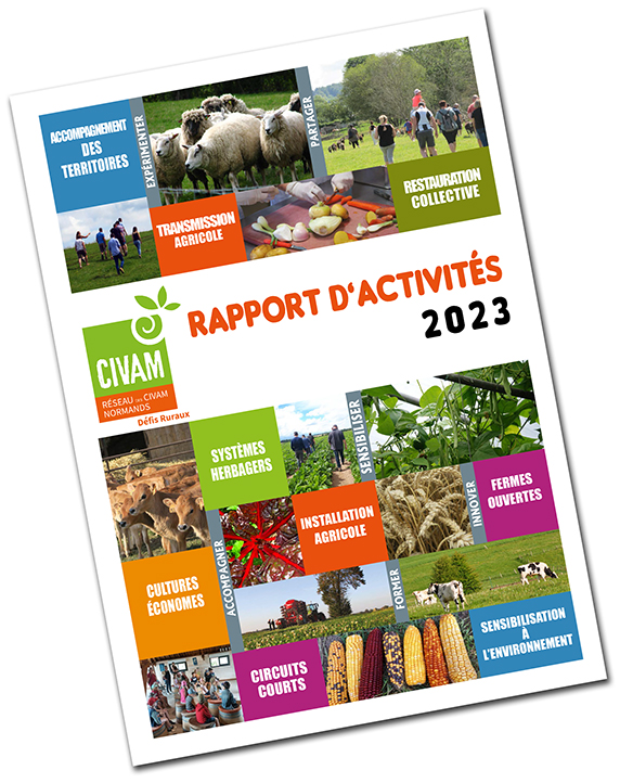 rapport d'activités 2023