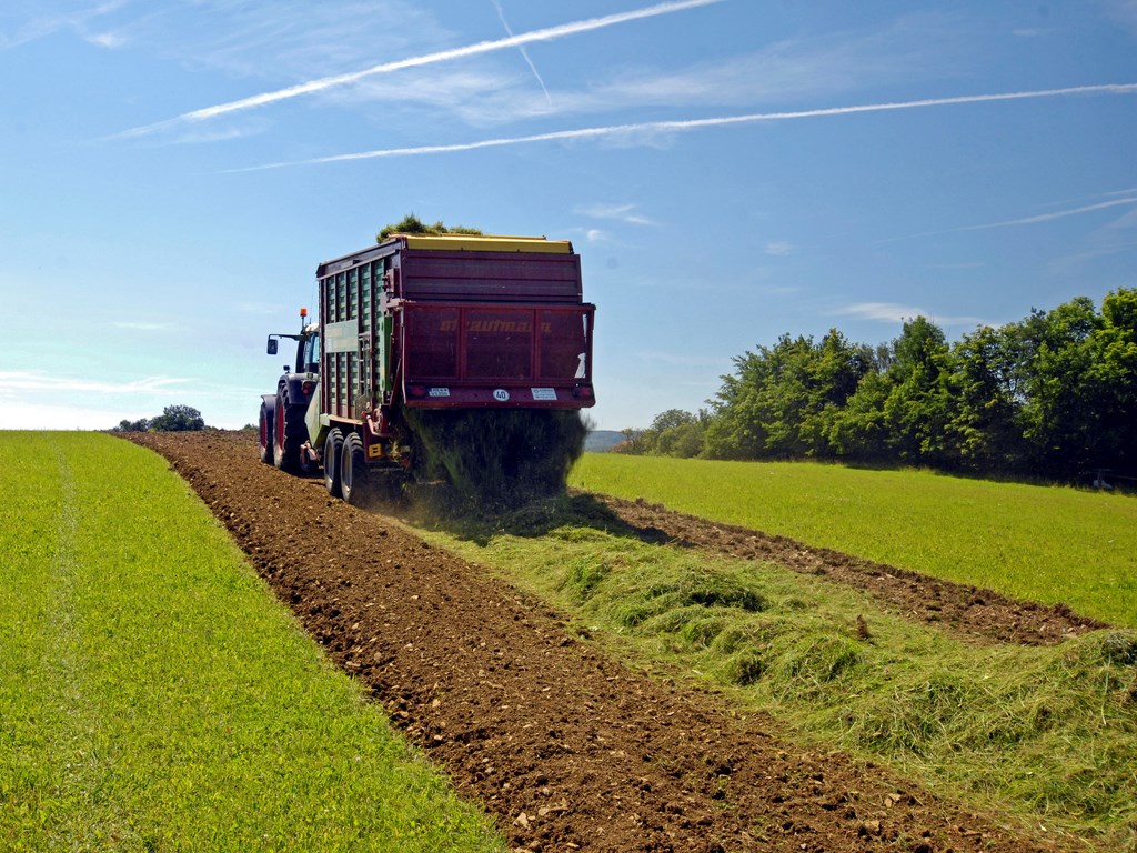 epandage de l'herbe a semences