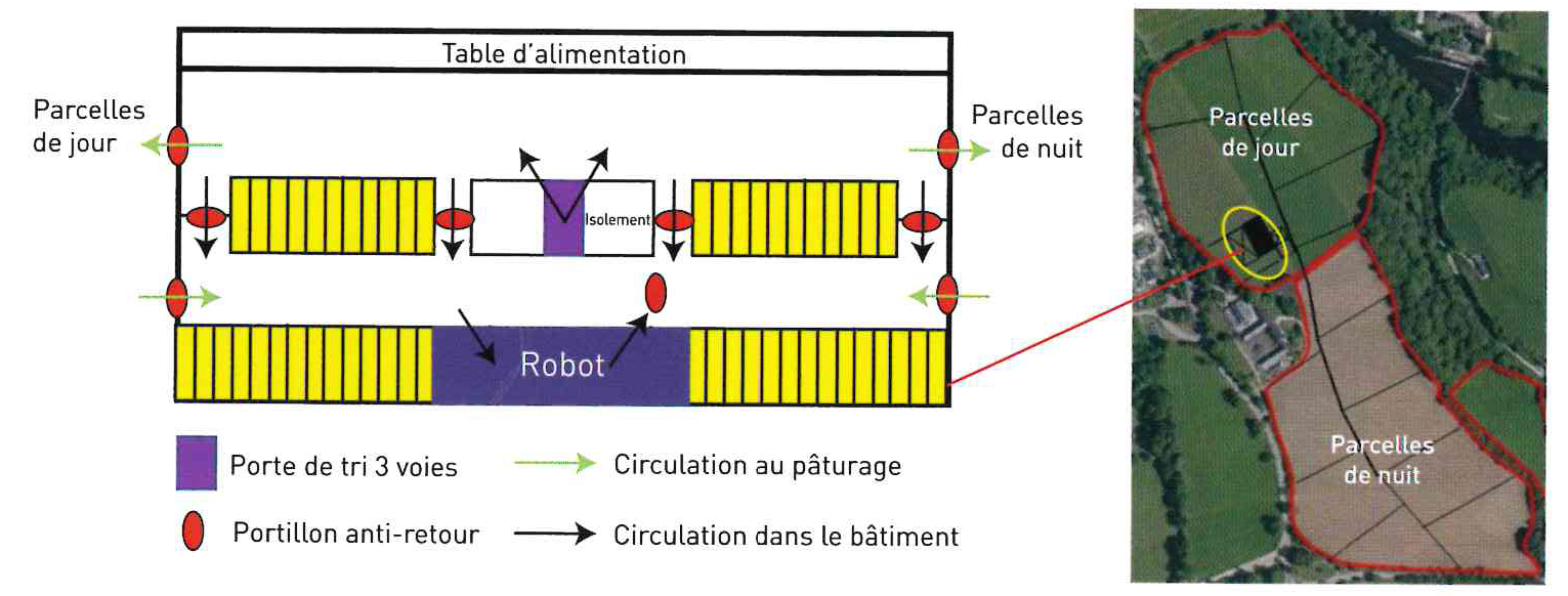 batiments et paddocks