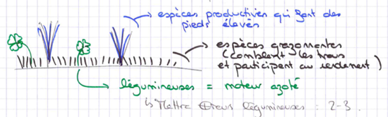 schema especes