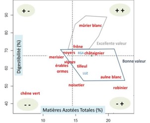 schema chevrette