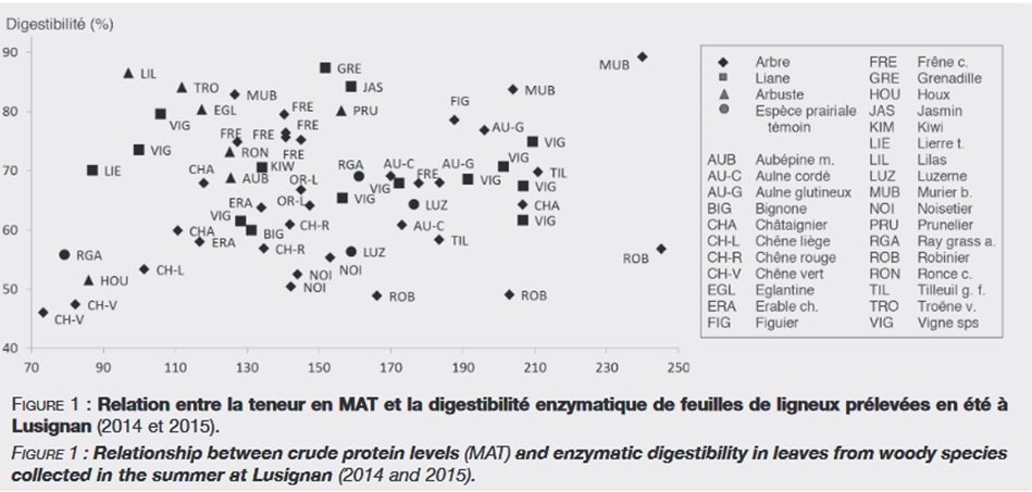 MAT et digestibilite