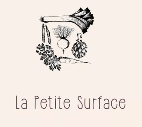 petite surface logo