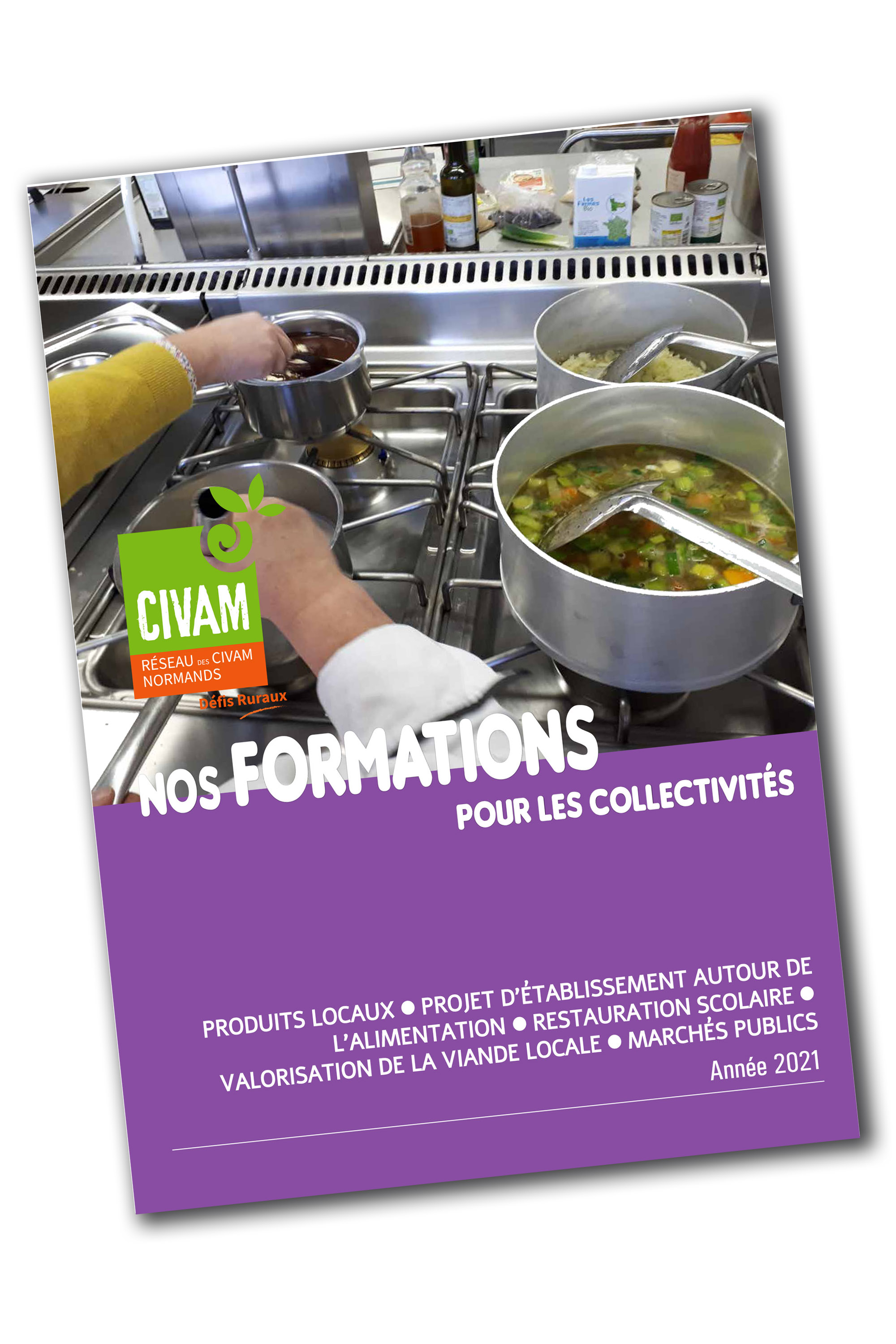Supplement formations collectivites 2021 ombre