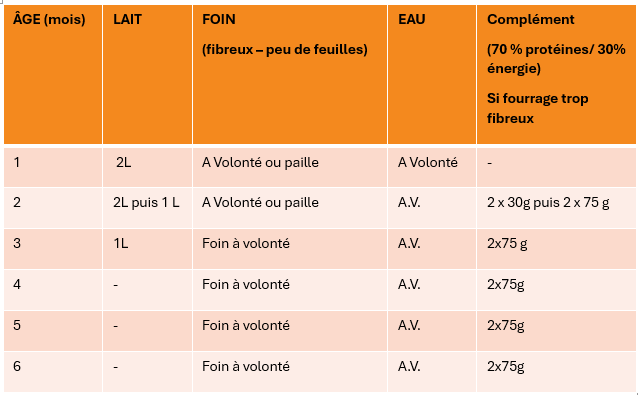 PANSE BETE 40 Juillet 2025 Alimentation des jeunes Veaux