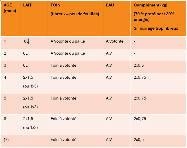 PANSE BETE 40 Juillet 2025 Alimentation des jeunes Veaux