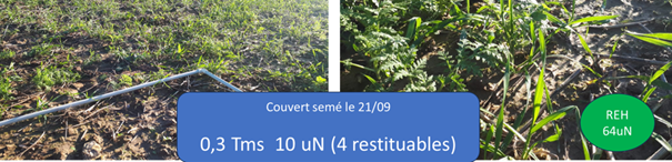 PANSE BETE 40 Juillet 2025 Couverts Graphique 01