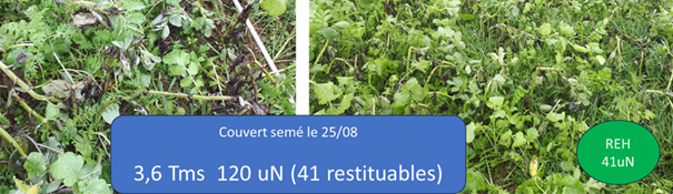 PANSE BETE 40 Juillet 2025 Couverts Graphique 01