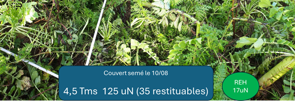 PANSE BETE 40 Juillet 2025 Couverts Graphique 01