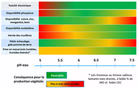 IMAGE 4 article sol panse bete 43