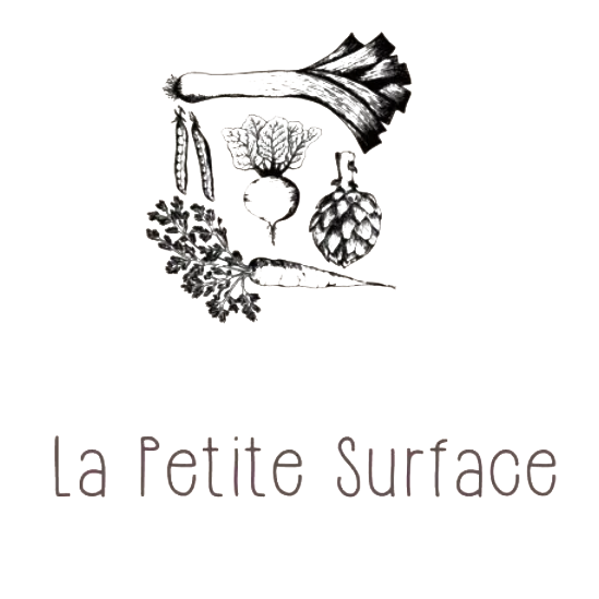 petites surface logo