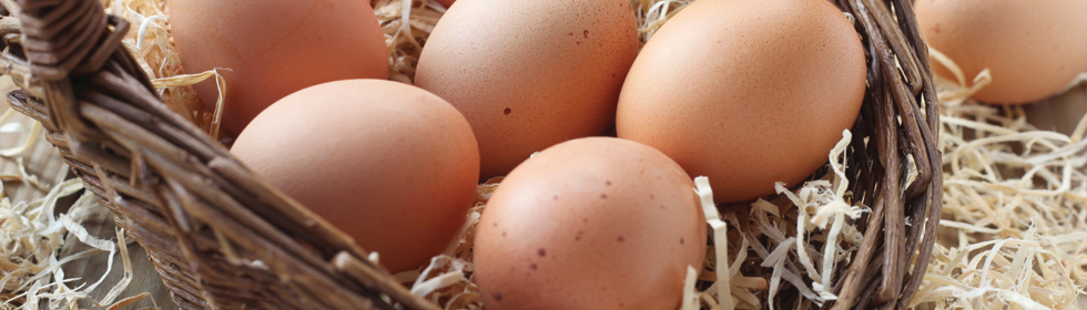 Oeufs